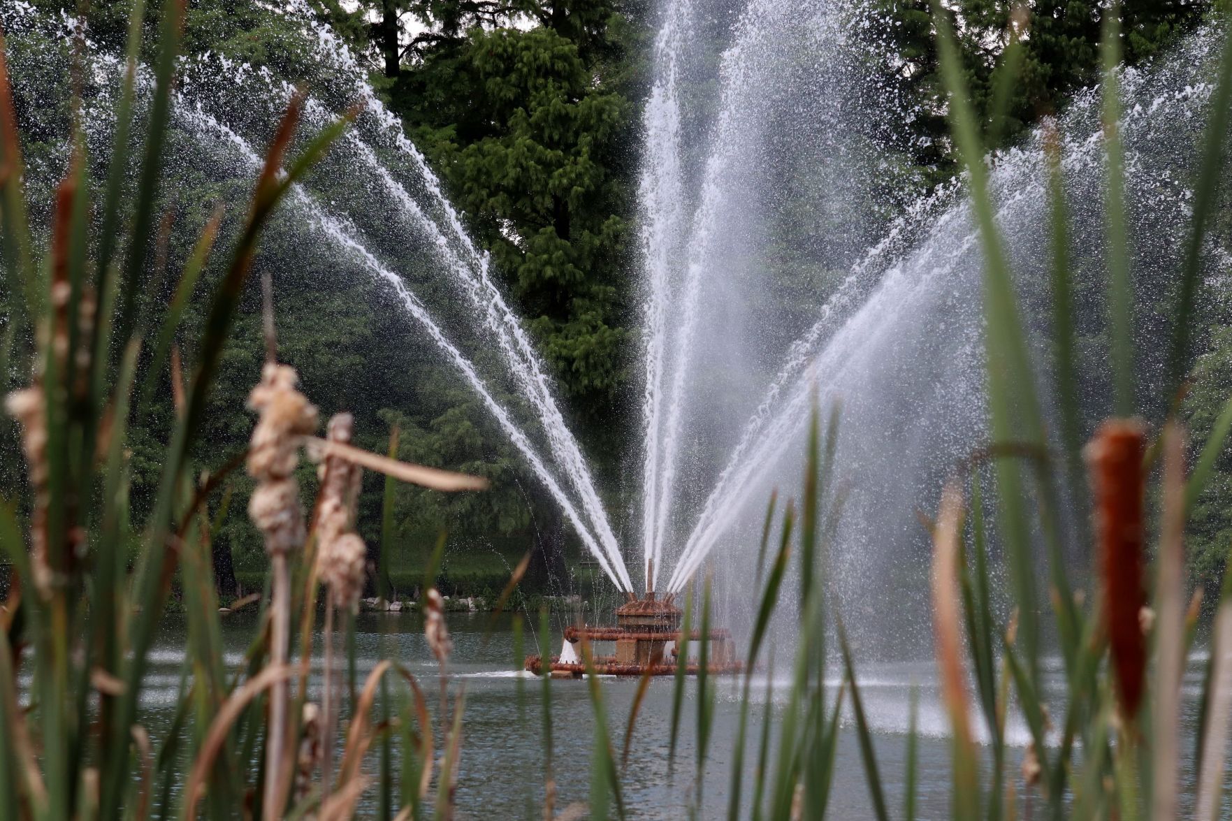 Round Lake in Forest Park